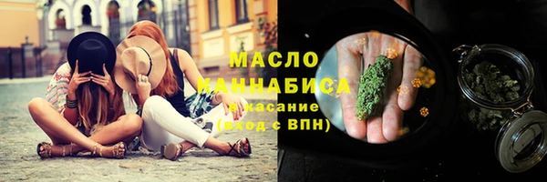 прущие грибы Новодвинск