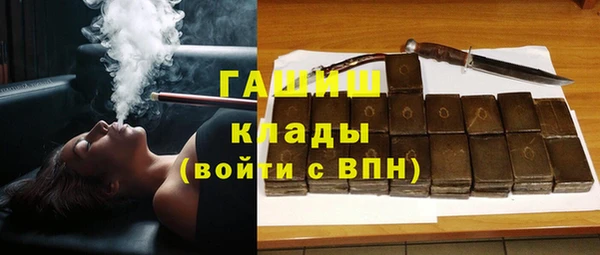 прущие грибы Новодвинск