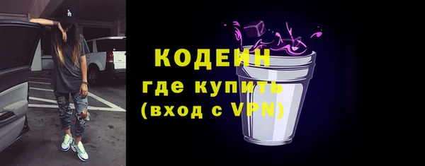 прущие грибы Новодвинск
