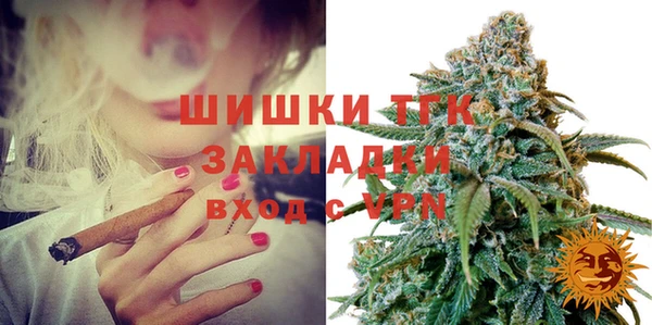 прущие грибы Новодвинск