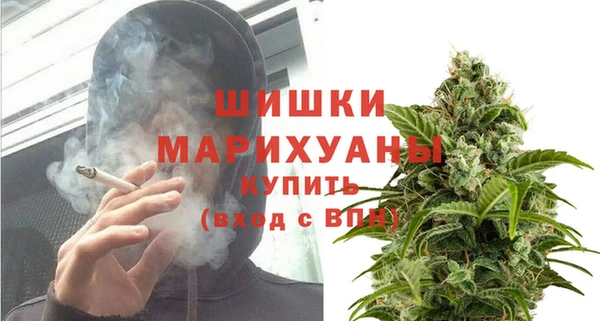 прущие грибы Новодвинск