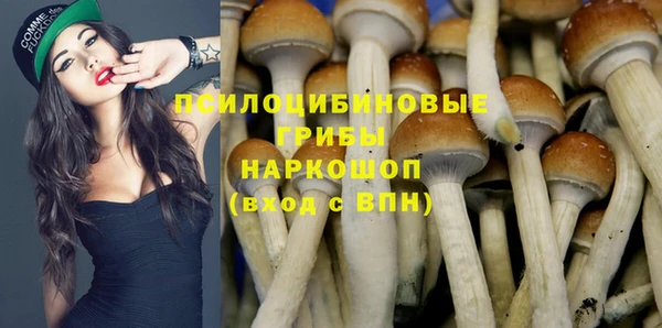 гидропоника Чердынь
