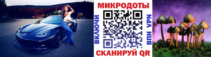 Псилоцибиновые грибы мицелий  Бабушкин 