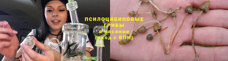 hydra как войти  где можно купить   Бабушкин  Галлюциногенные грибы Psilocybine cubensis 